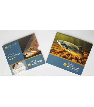 BU IRLANDE 2011