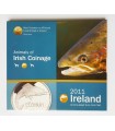 BU IRLANDE 2011
