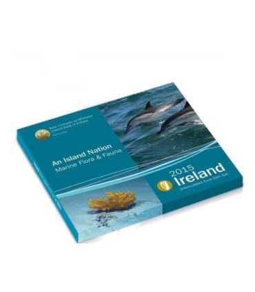 BU Irlande 2015
