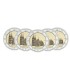 5 x 2 Euro Allemagne 2011 atelier ADFGJ