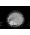 10 Euro ALSACE - caractéristiques
 
Diamètre: 29,00 mm
Poids: 10,00 g
Métal: Argent 925/1000
Faciale: 10 €
Qualité: UNC
Tirage: 