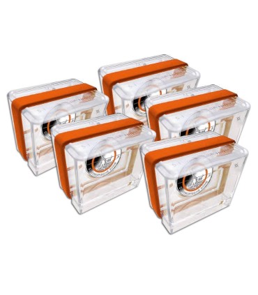 5 x 5 Euro Allemagne 2018 Belle Epreuve