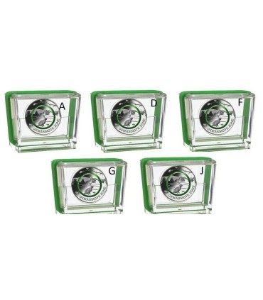 5 x 5 Euro Allemagne 2019 Belle Epreuve