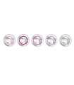 Lot de 5 x 5 Euro Allemagne 2021 - Zone Polaire