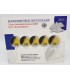 SET 5*2 Euro Allemagne 2008 BE - 
	 

	set Allemagne des 5 ateliers (ADFGJ) 2008

	 

	qualité: BE

	 

	Description:

	 

	À l’