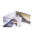 Coincard 2 Euro Estonie 2023 - L'hirondelle