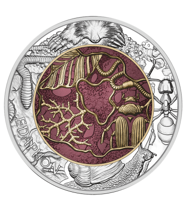 25 Euro Autriche Niobium 2024