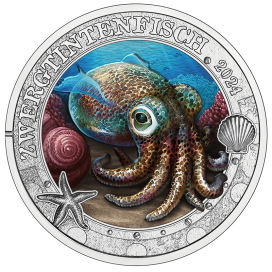 3 euro Autriche 2024 - Seiche Naine