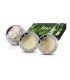 Coffret 2 x 2 Euro BE Finlande 2024